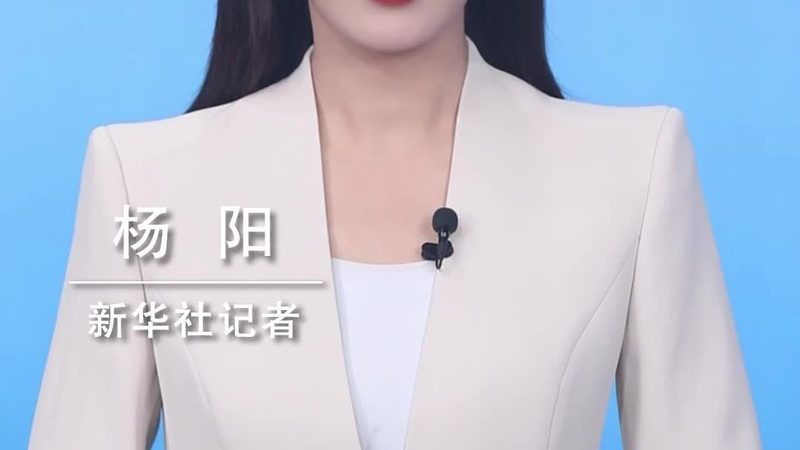 智慧解决方案报价单模板：构建高效决策的蓝图